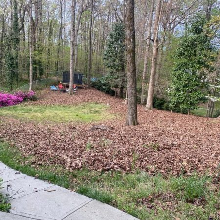 Landscape maintenance services in Atlanta